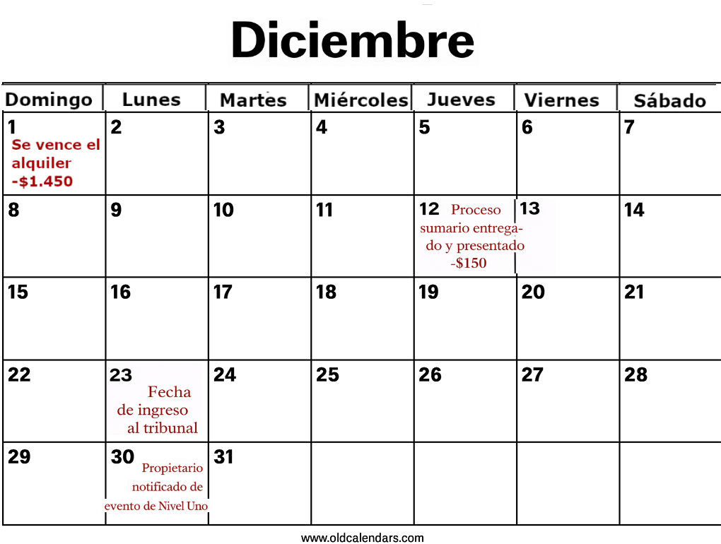1 de dic.: vence el alquiler -$1.450. 12 de dic.: proceso sumario entregado y presentado -$150. 23 de dic.: fecha de ingreso al tribunal. 30 de dic.: el propietario recibe notificación del evento de nivel uno.